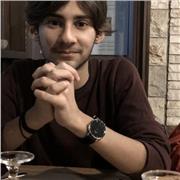 Laureato triennale al Politecnico di Torino offre ripetizione di matematica